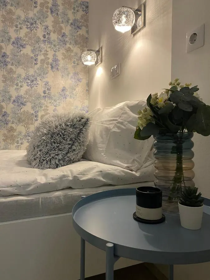 Downtown Mini Apartment contacts